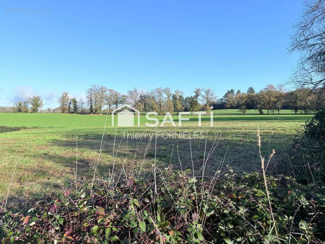 Photo 3 - Terrain à SAINT-JUST-LE-MARTEL