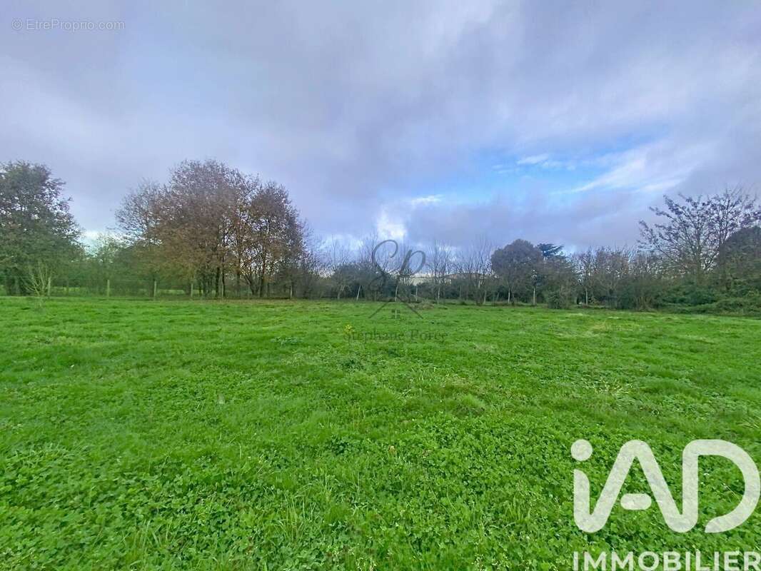 Photo 3 - Terrain à ALBIAS