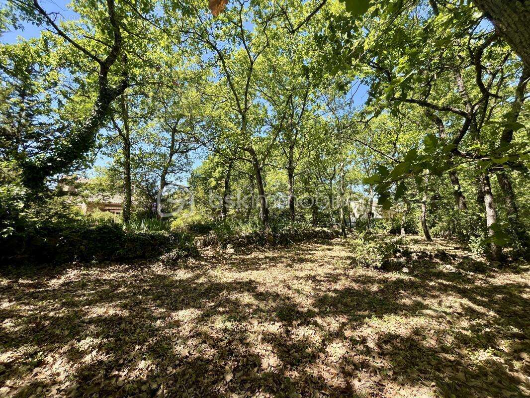 Charme, calme, intimité, à deux pas du village –  T3 de 137 m2 + T2 de 32 m2 – St Paul En Forêt (Var) - photo 12