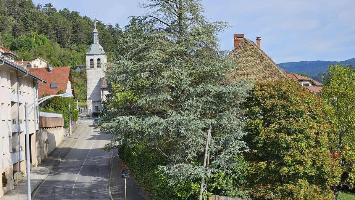 Appartement à ALLONZIER-LA-CAILLE