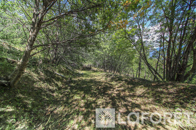 **muande + 7200 m² de terrain - embrun - photo 17