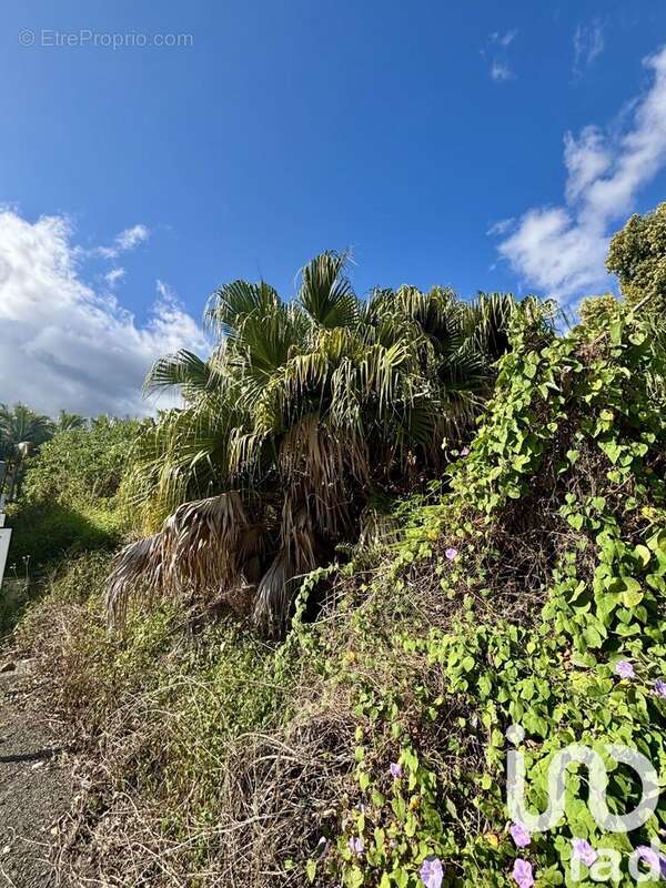 Photo 3 - Terrain à ENTRE-DEUX