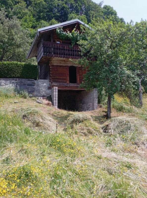 Photo 4 - Maison à VACHERESSE