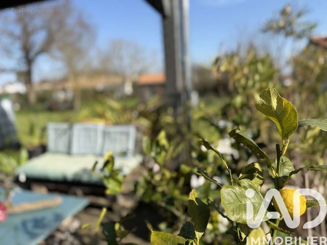 Photo 3 - Maison à MORNAC-SUR-SEUDRE