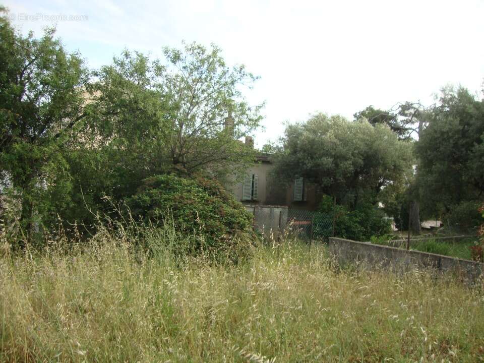 Terrain à PIERREFEU-DU-VAR
