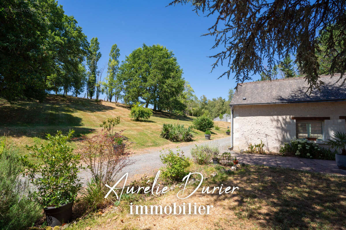 Propriété Marlène à Pocé-sur-Cisse - photo 30