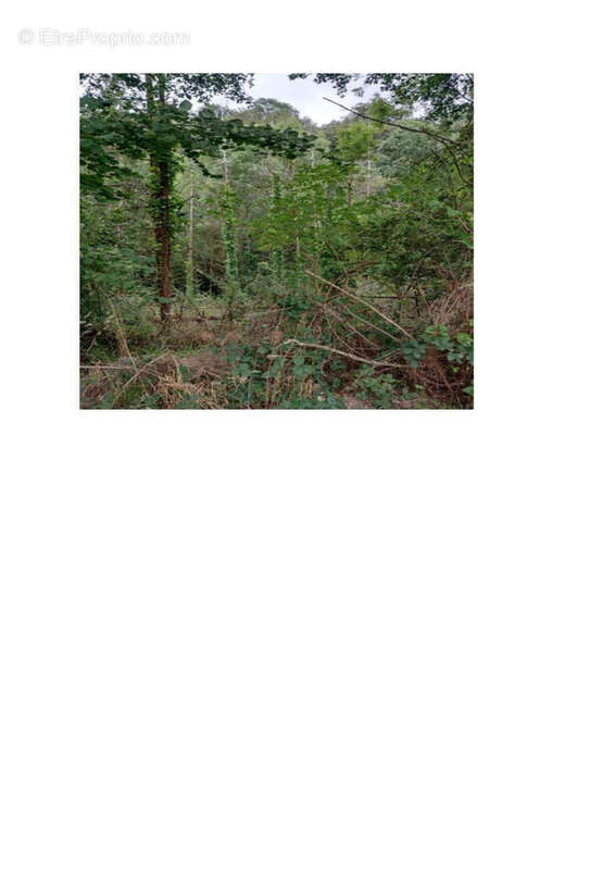 Terrain à SAINT-LAMBERT
