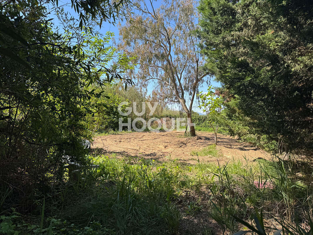 Terrain à SAINT-CYPRIEN