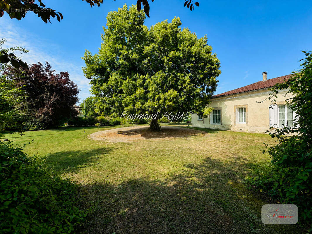 Maison à SAINT-EMILION
