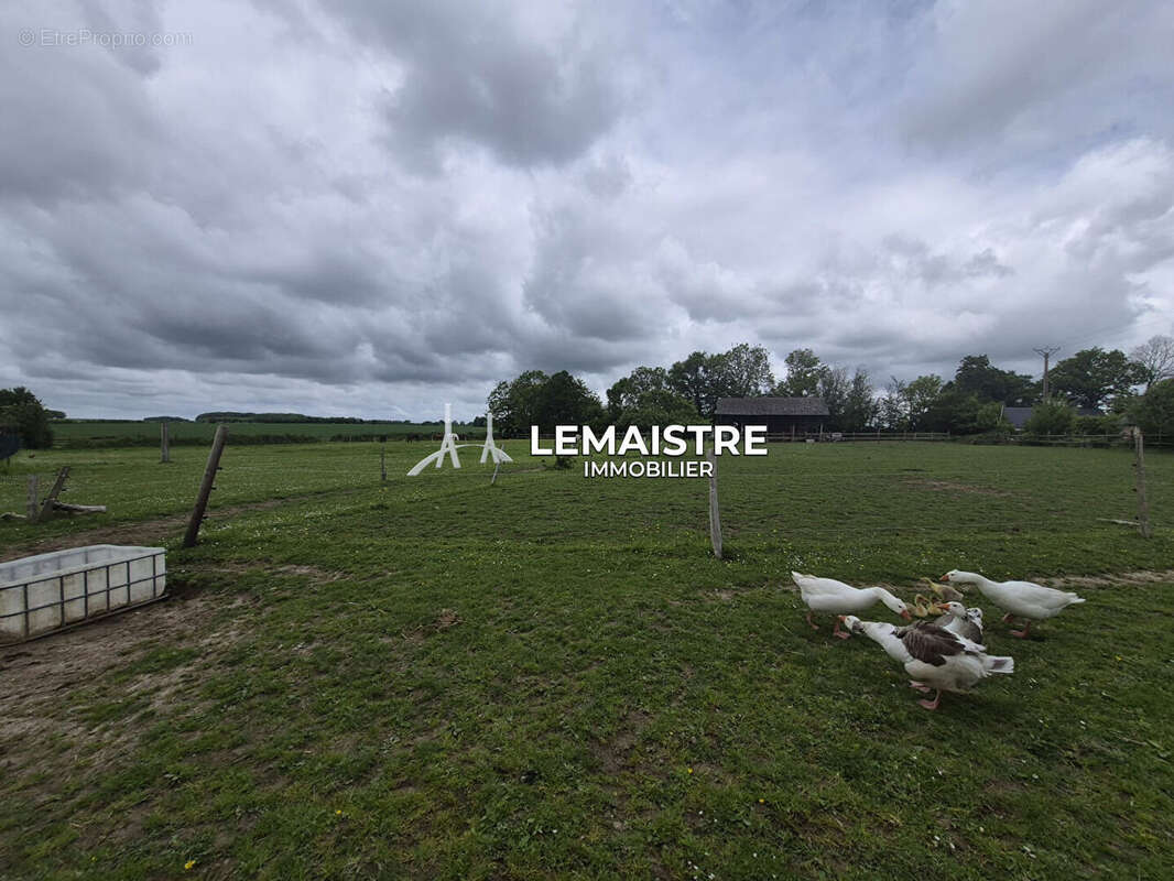 Maison de maître à vendre - Secteur Cany-Barville/Saint Valéry en Caux - 202 m² - 6 chambres - Dépendances - Terrain 1,2 hectare - photo 8