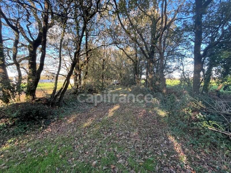 Maison à LES SABLES-D&#039;OLONNE
