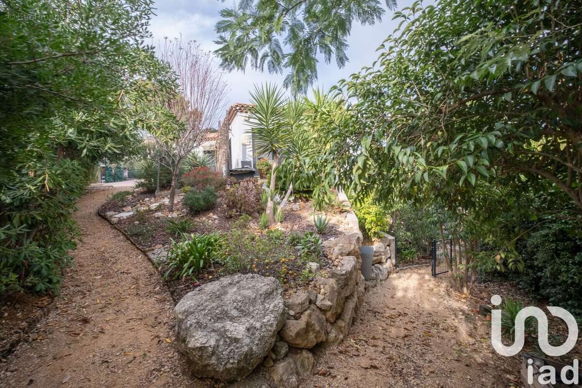 Photo 3 - Maison à VALLAURIS