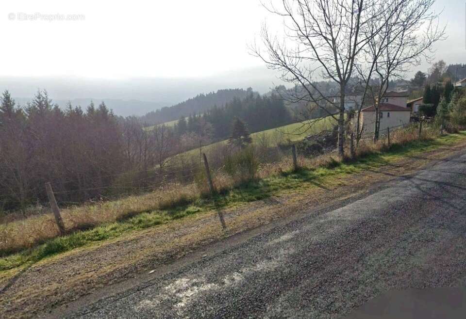 Terrain 1850 m² à Saint-Ferreol-D'auroure  - photo 3