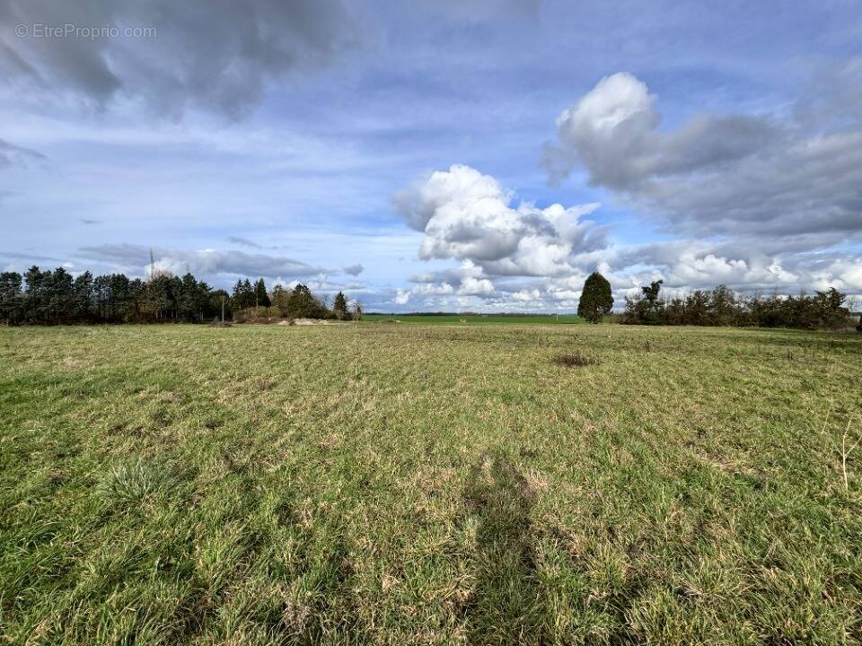 Terrain à PISEUX