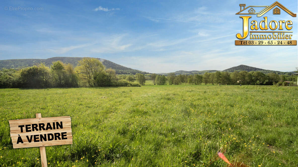 Terrain à LES POULIERES