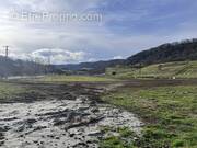 Terrain à RIOM-ES-MONTAGNES