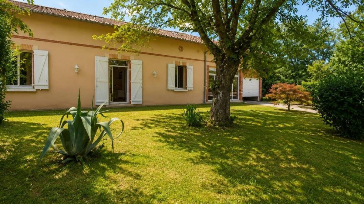 Photo 1 - Maison à TOULOUSE