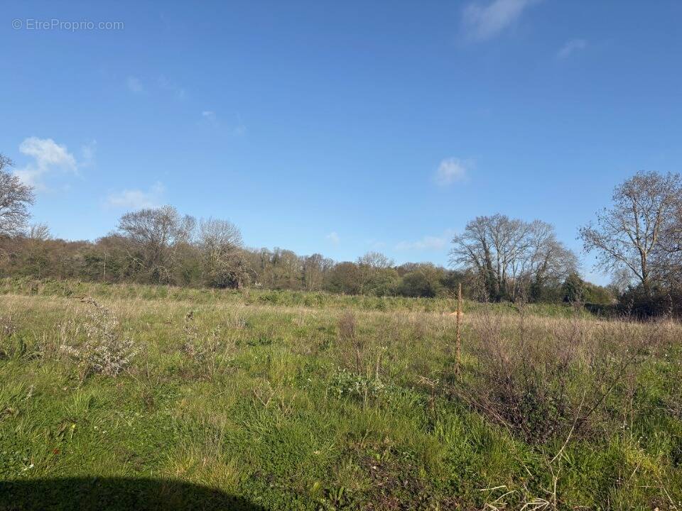 Terrain à LE BREUIL-EN-AUGE
