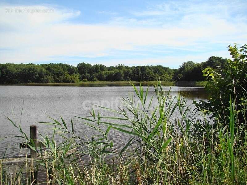 Commerce à LAMOTTE-BEUVRON