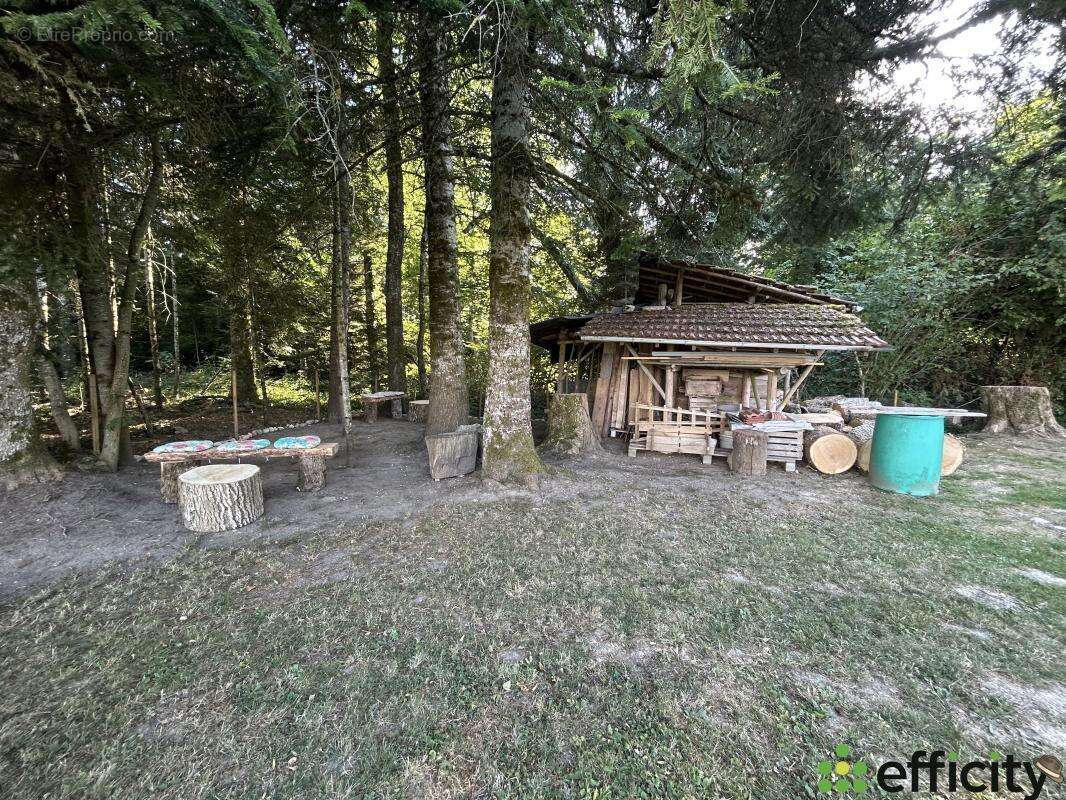 Maison à MIRIBEL-LES-ECHELLES