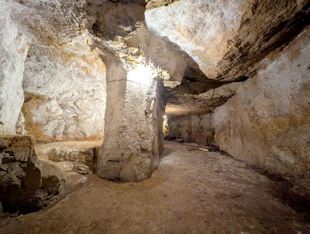 Joli Troglo entre Doué et Saumur - photo 13