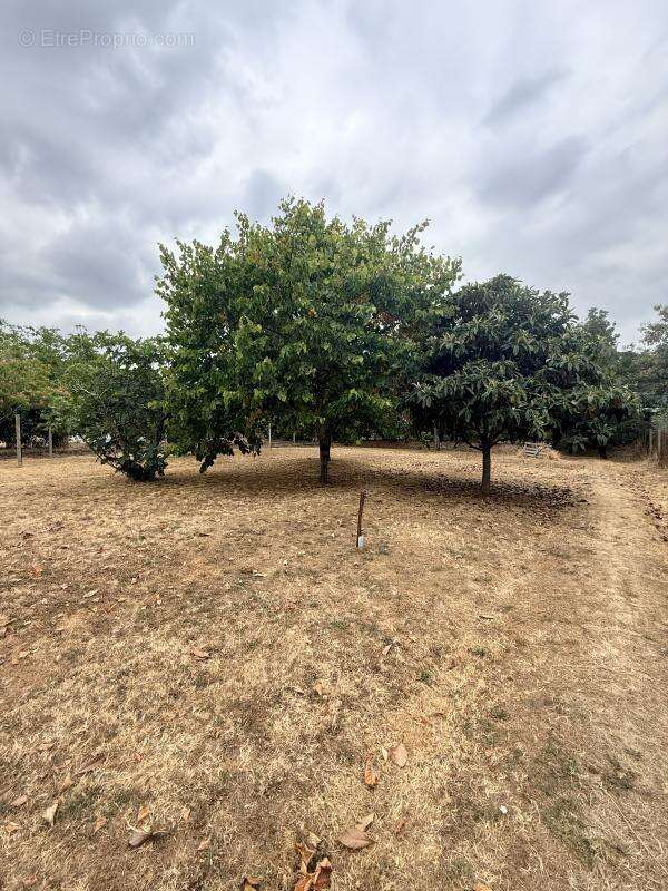 Terrain 1080 m² à Tournefeuille  - photo 3