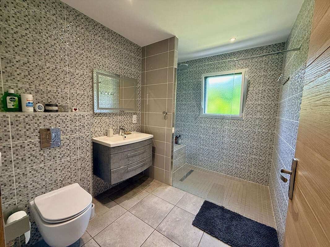 Maison à TROIS-PALIS