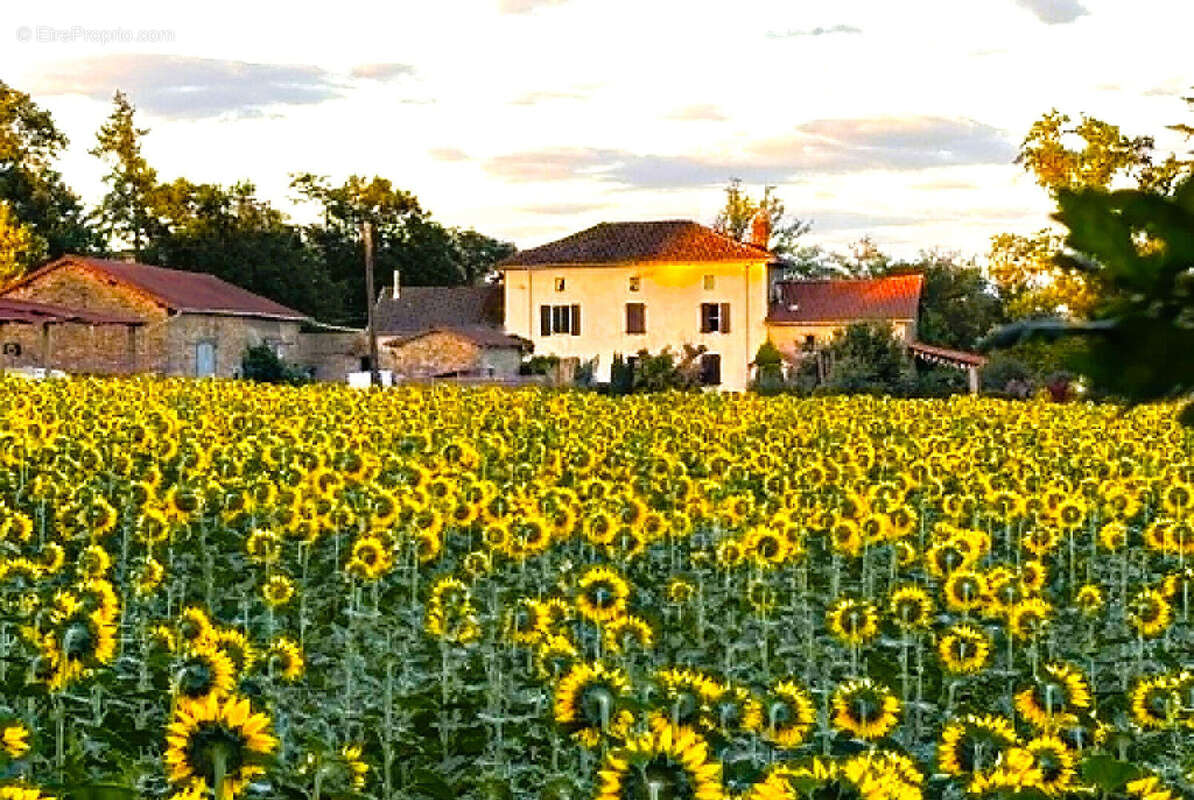 Maison à SAINT-BAZILE