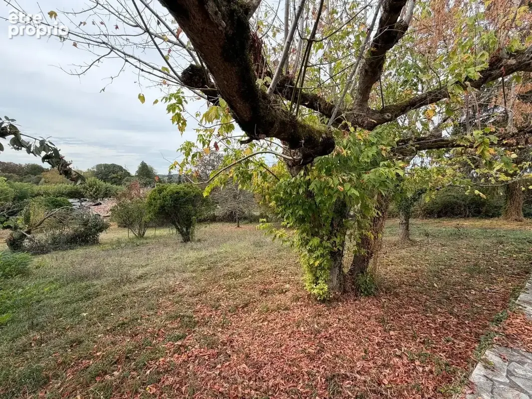 MAISON de plain-pied sur un parc arboré de 2800m2. - photo 8