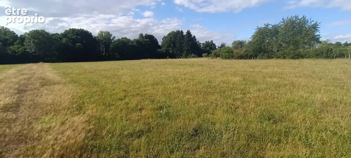 Terrain constructible.  9159 M2 m2 luxeuil - photo 5
