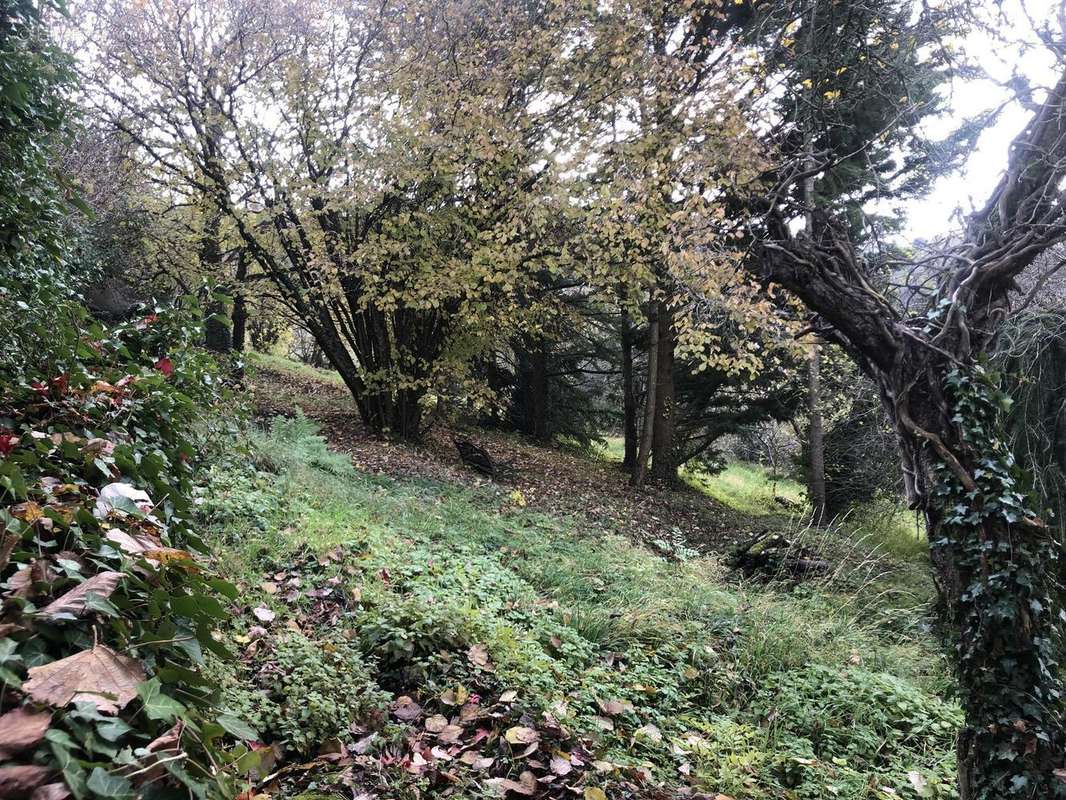 Photo 2 - Terrain à THIZY