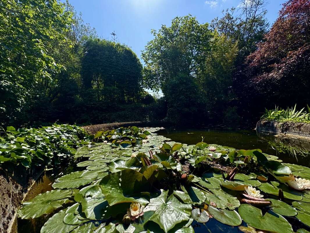 Maison à CARCASSONNE