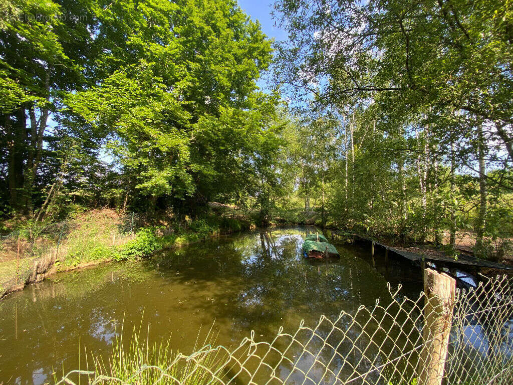 Terrain à LA FERTE-MACE