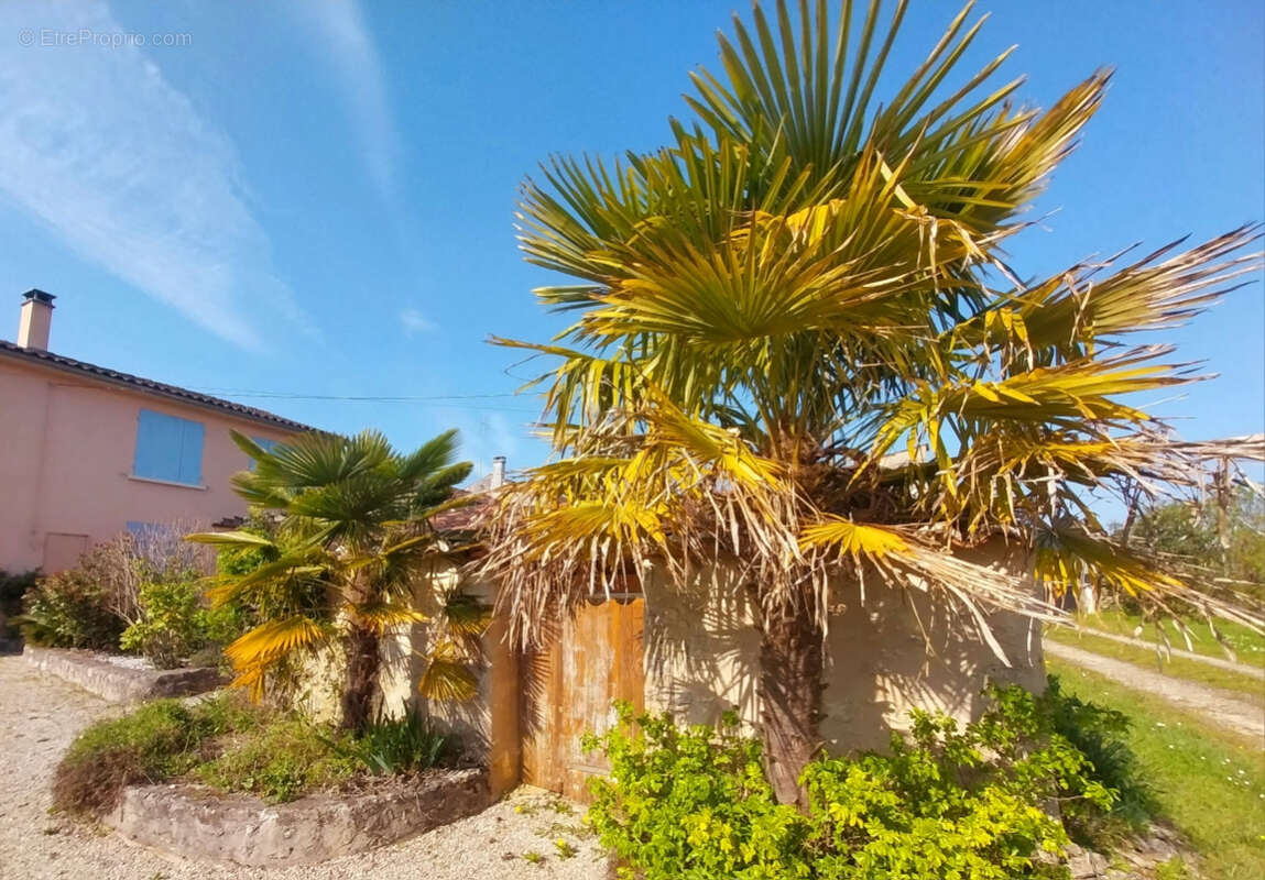 Maison à MESNAC