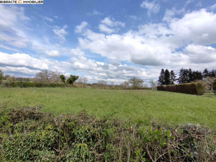 Terrain à LA NOCLE-MAULAIX