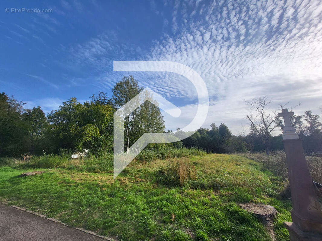 Terrain à BADONVILLER