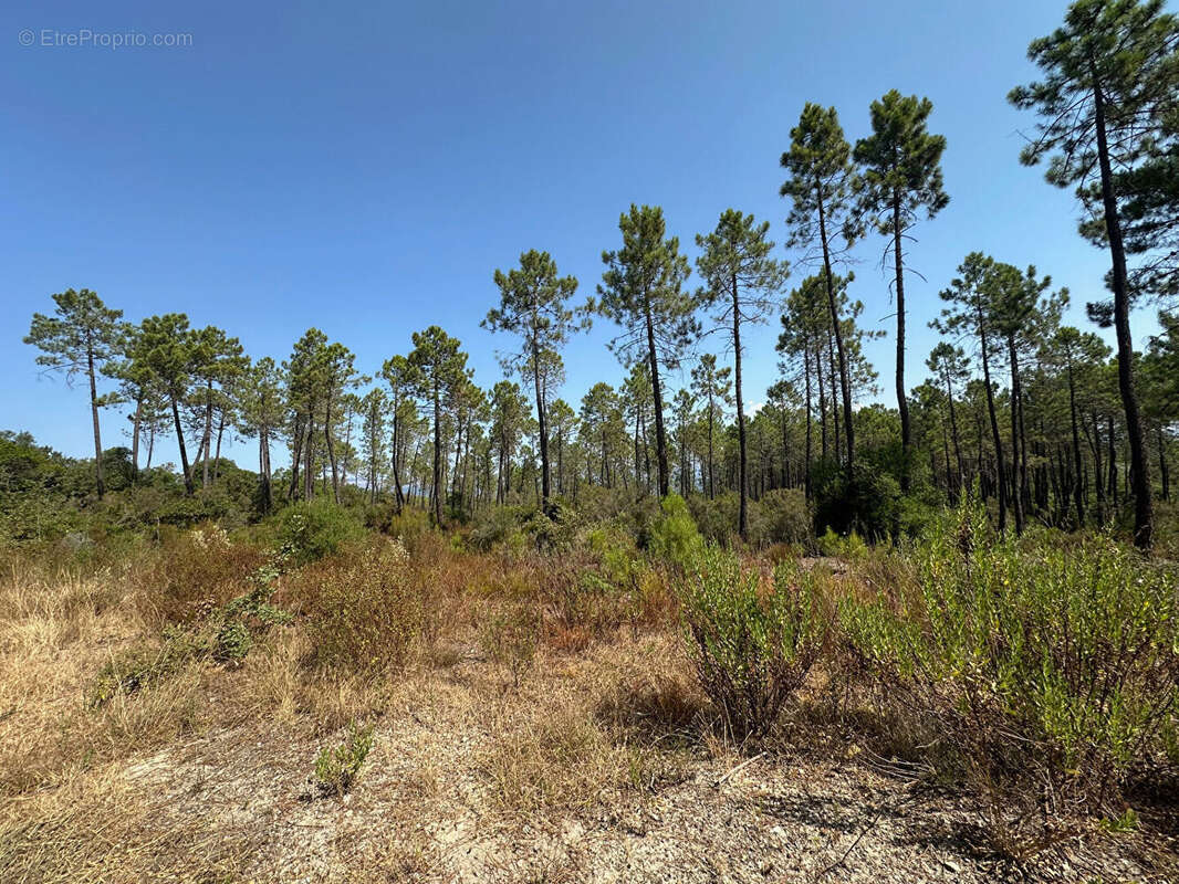 Terrain à TOURRETTES