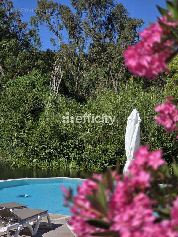 Appartement à GRIMAUD