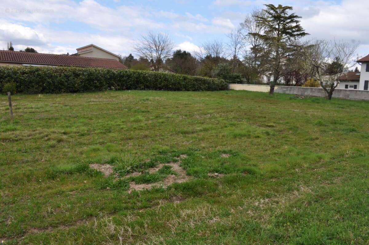 Terrain 1087 m² à Montmerle-Sur-Saone  - photo 3