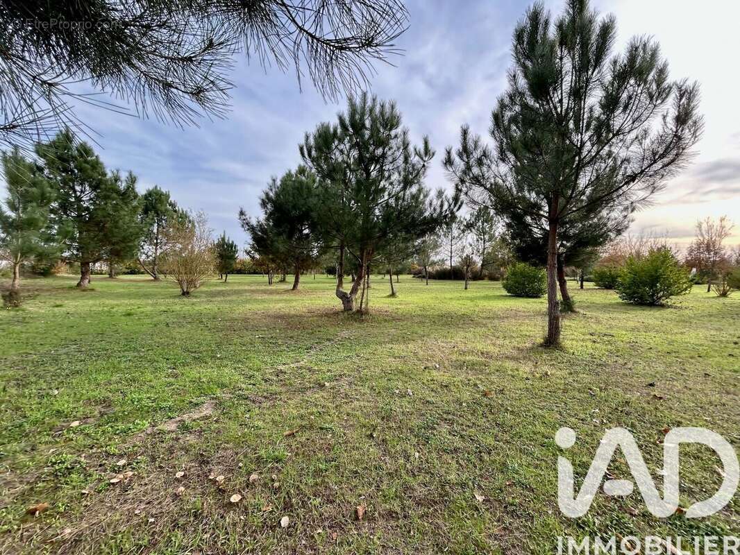 Photo 9 - Terrain à ALLONNES