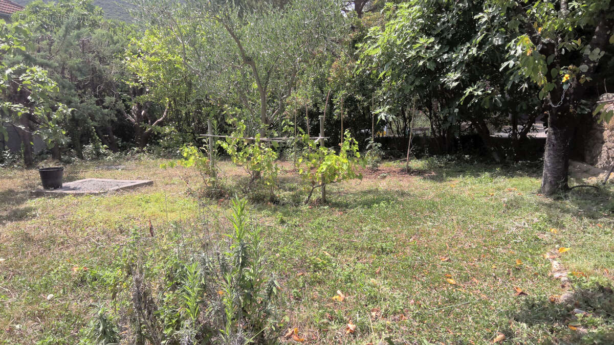 Maison à SAINT-FLORENT-SUR-AUZONNET