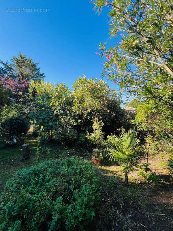 Maison à SAINT-SULPICE-DE-ROYAN