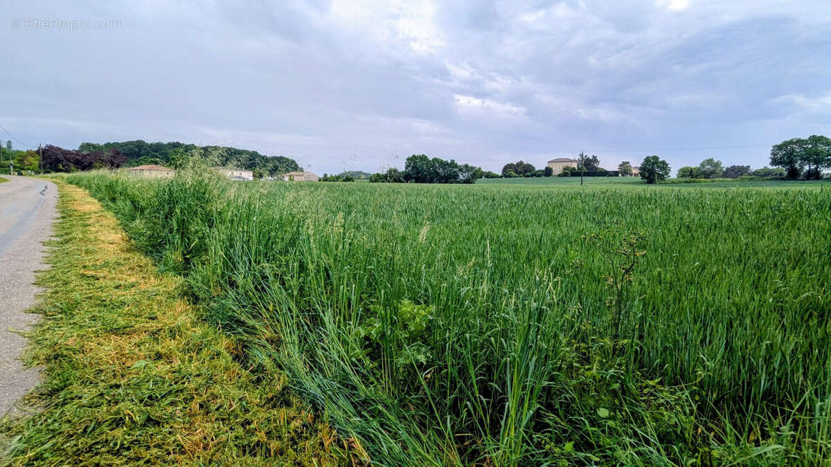 Terrain à BON-ENCONTRE