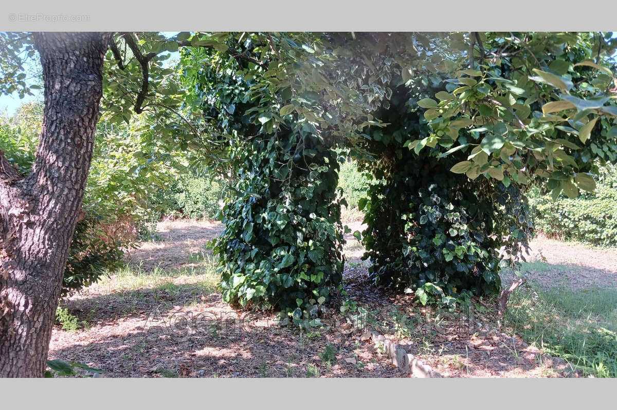 Maison à NISSAN-LEZ-ENSERUNE