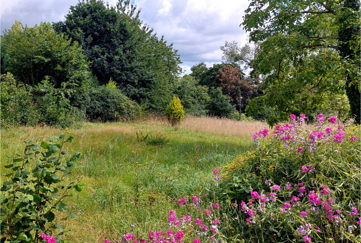 Terrain à QUETTREVILLE-SUR-SIENNE