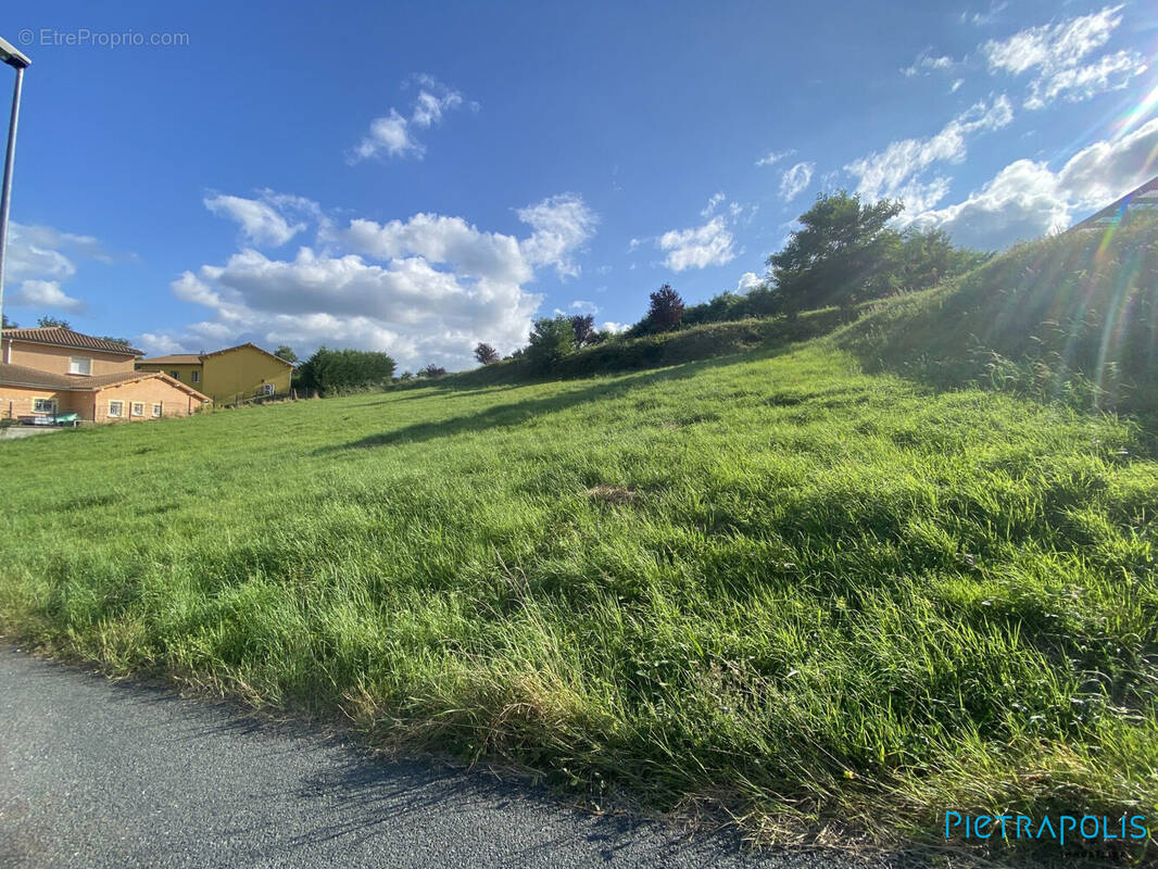 Terrain à AMPLEPUIS