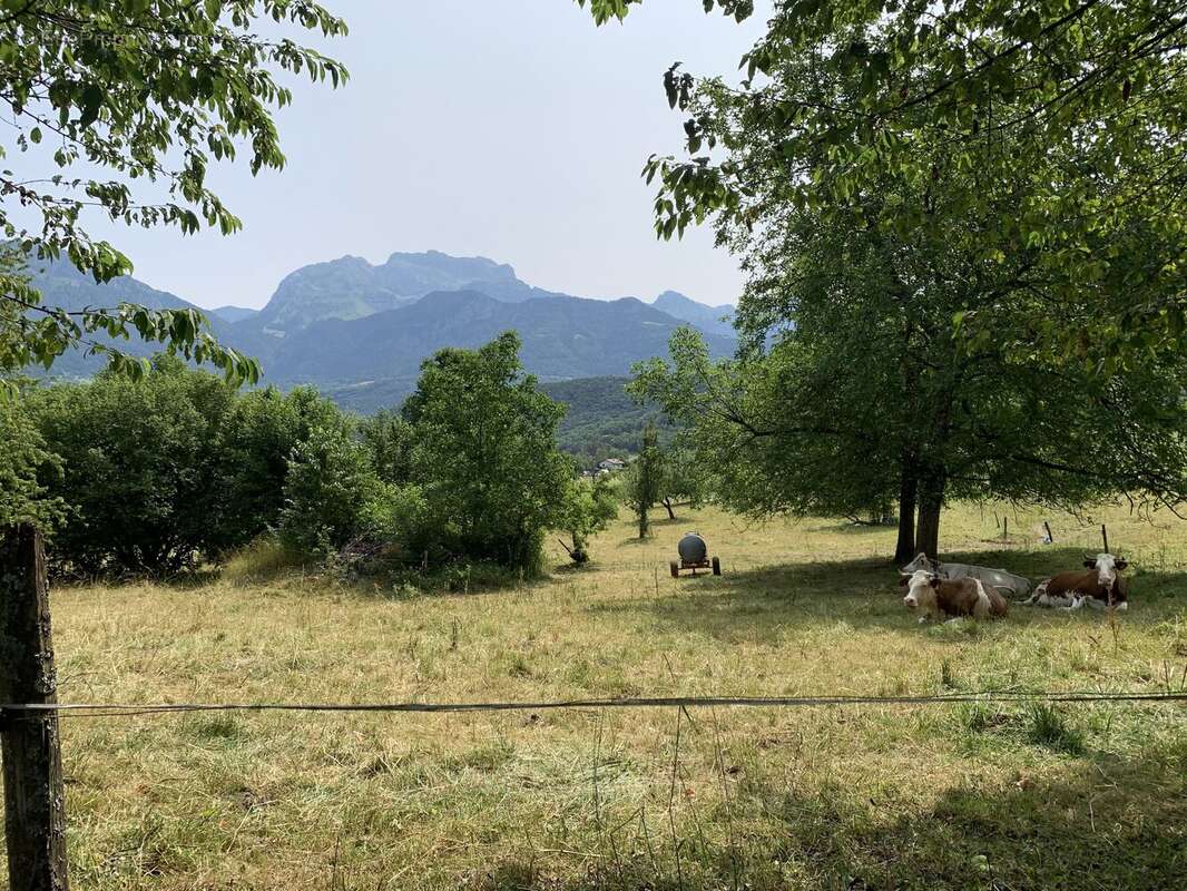 Photo 3 - Terrain à SAINT-JORIOZ