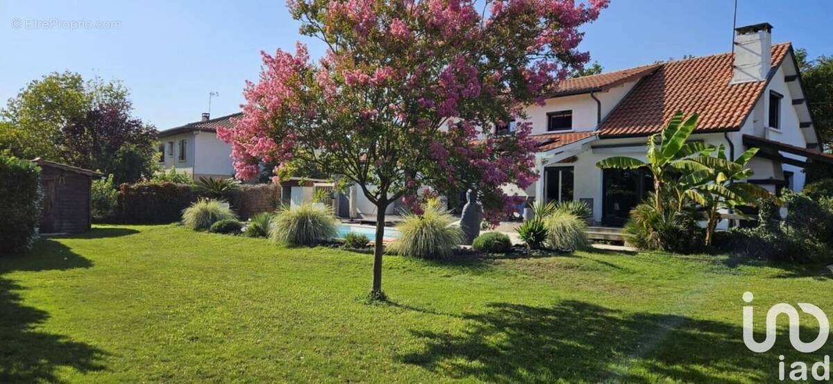 Photo 1 - Maison à LA TESTE-DE-BUCH