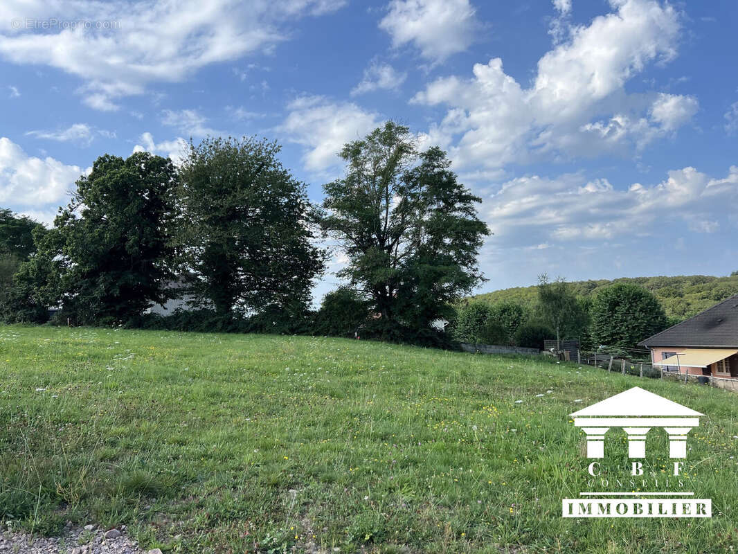 Terrain à SAINT-SERNIN-DU-BOIS