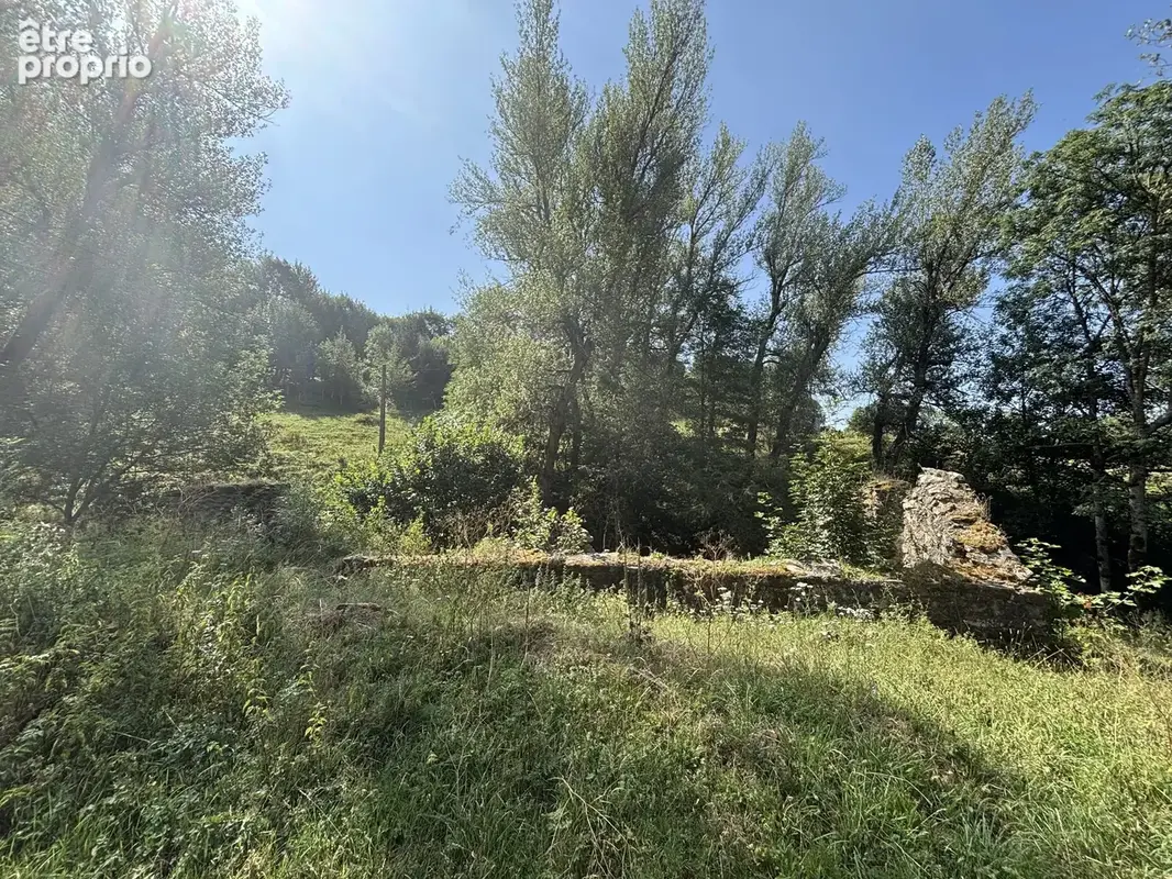 Exclusivité - terrain de 1 716 m² avec deux ruines en pierre - photo 6